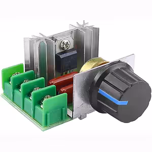 Variatore di Tensione 220V Dimmer | Regolatore Velocità Motore Elettrico 2000W AC