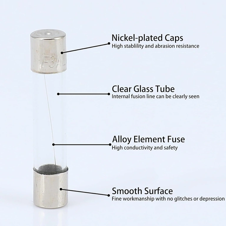 Dettaglio capi metallici fusibile 10A 5x20mm