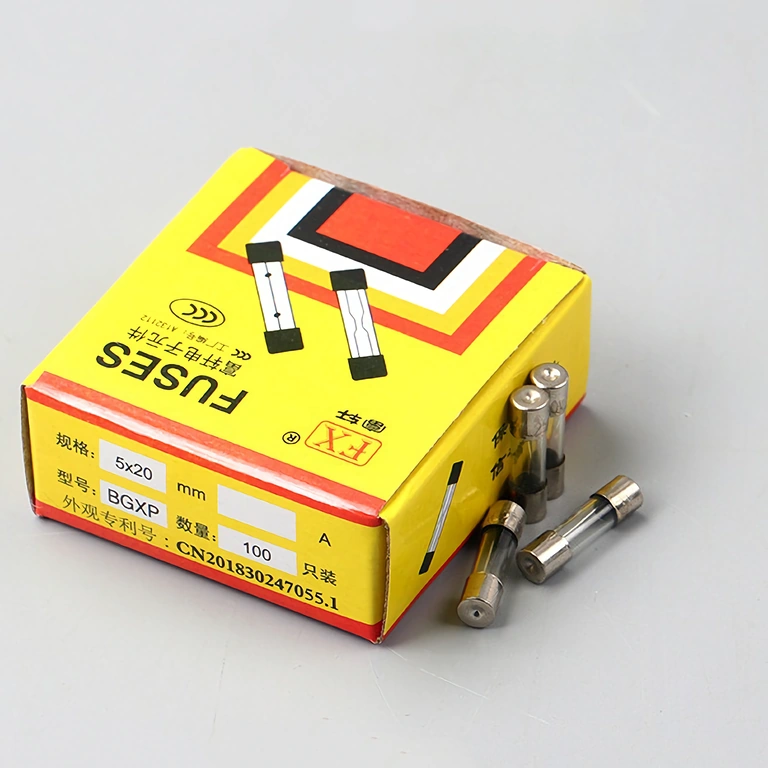 Set completo 100 pezzi fusibili a vetro 10A 5x20mm